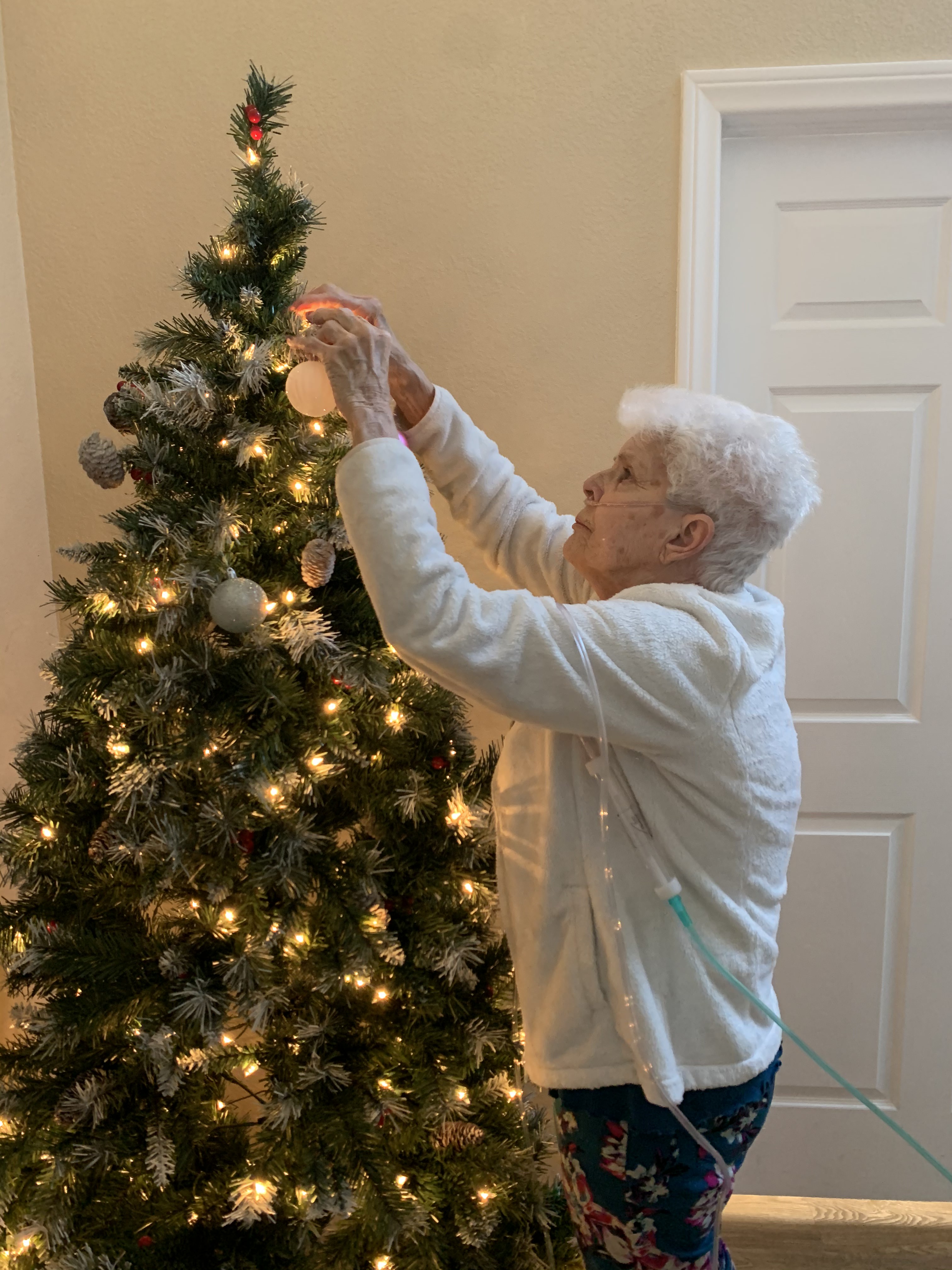 Christmas celebrations!